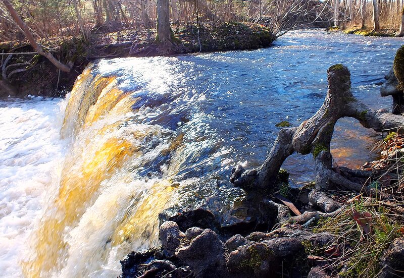 Small Waterfall in Forest — Blue, Natural