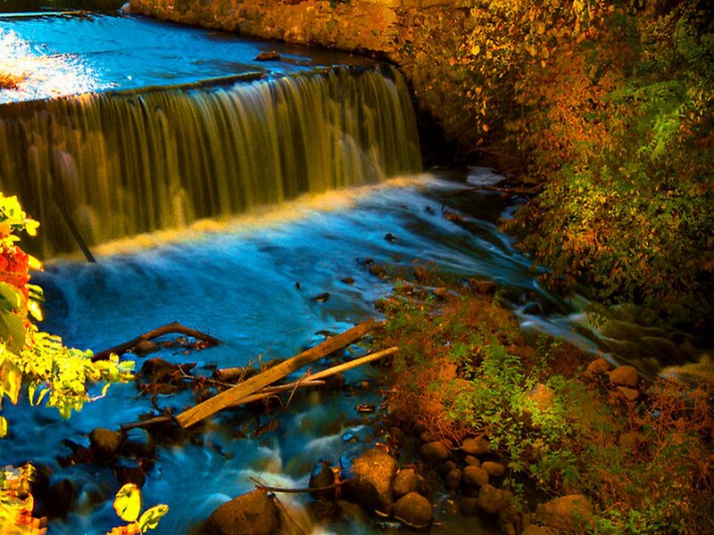 Small Waterfall in Forest — Blue