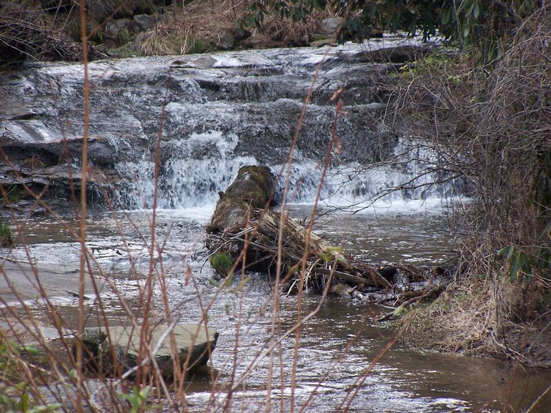 Small Waterfall in Forest — Brown, Natural