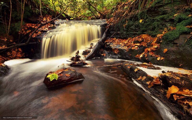 Small Waterfall in Forest — Brown, Serene, Autumn, Photograph, Fallen Leaves, Moss