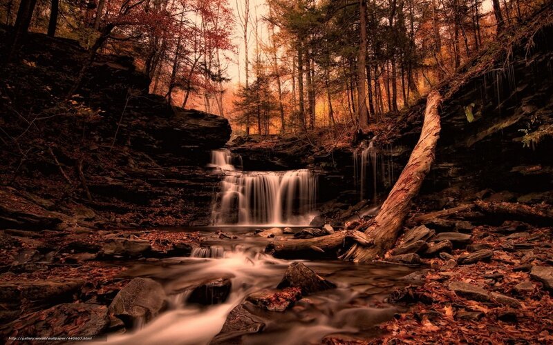 Small Waterfall in Forest — Brown, Serene, Autumn, Photograph, Fallen Log