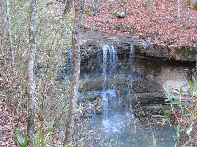 Small Waterfall in Forest — Brown, Serene, Autumn, Photograph, Trees, Fallen Leaves, Pool