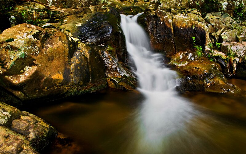 Small Waterfall in Forest — Brown, Serene, Photograph