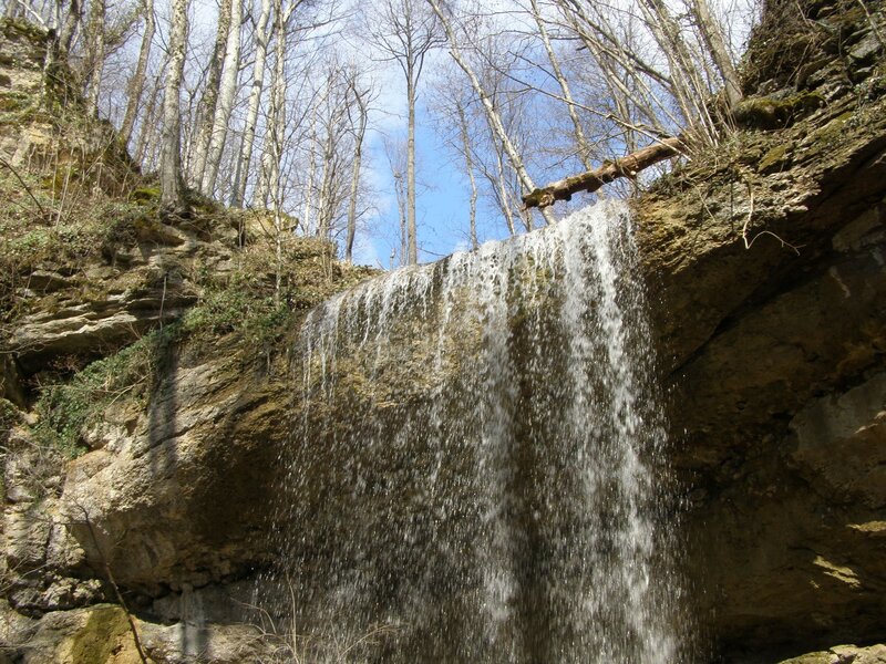 Small Waterfall in Forest — Brown, Serene, Spring, Photograph