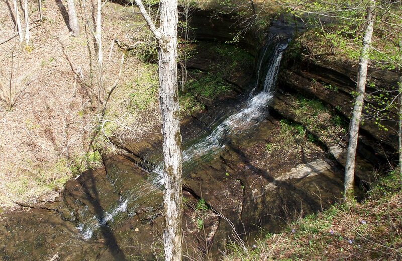Small Waterfall in Forest — Brown, Serene, Spring