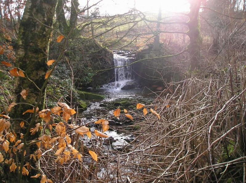 Small Waterfall in Forest — Brown, Serene