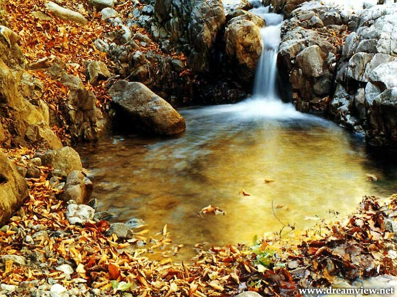 Small Waterfall in Forest — Brown