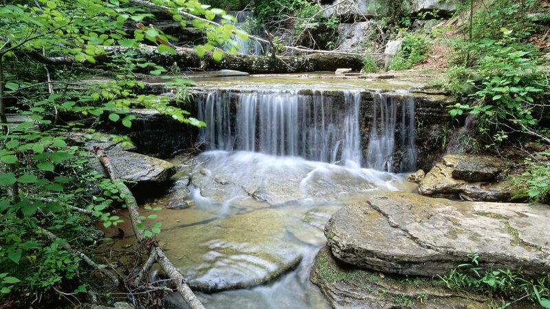Small Waterfall in Forest — Green, Afternoon