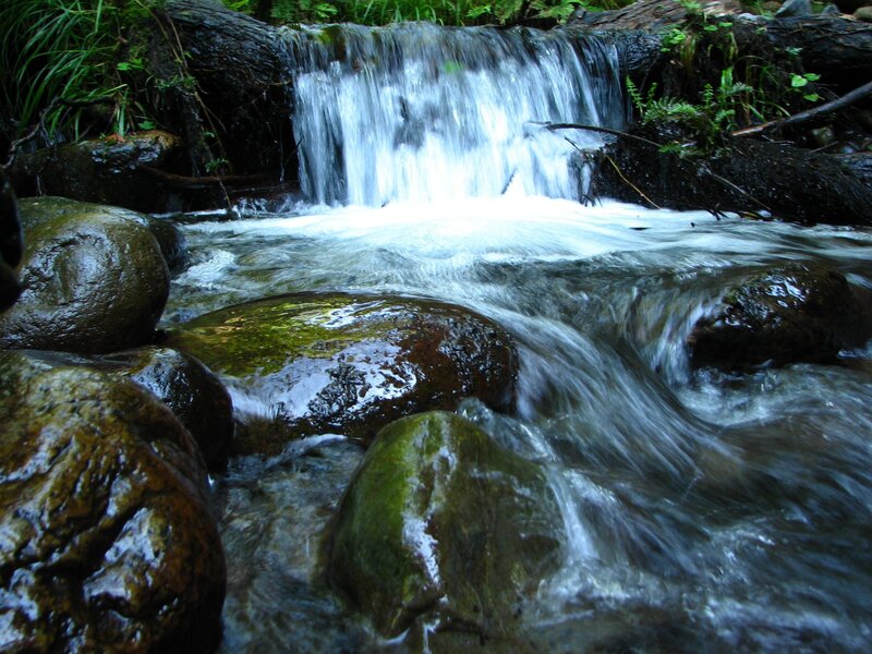 Small Waterfall in Forest — Green, Calm