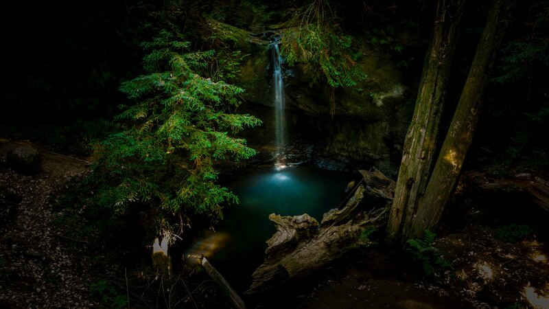 Small Waterfall in Forest — Green, Dark