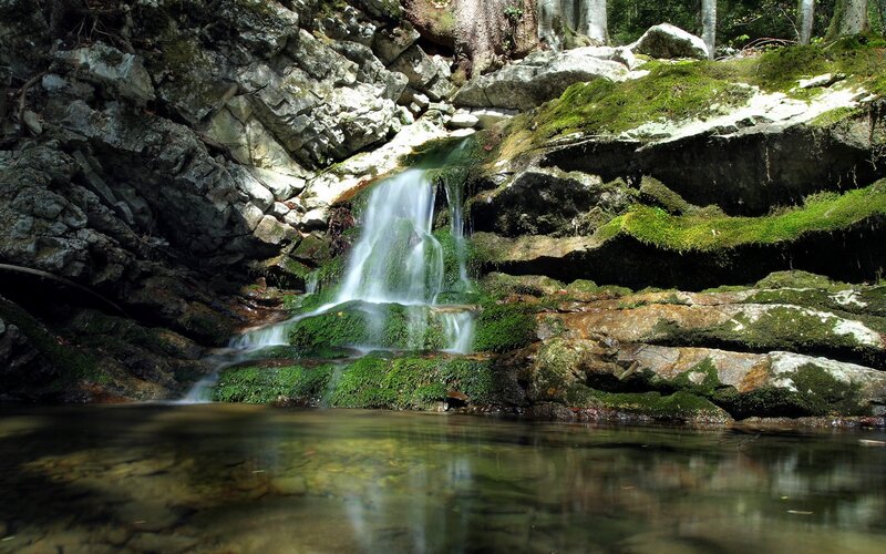 Small Waterfall in Forest — Green, Moss