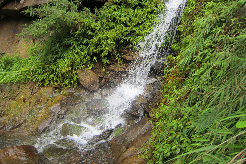 Small Waterfall in Forest — Green, Natural, Photograph, Rocks