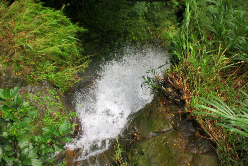 Small Waterfall in Forest — Green, Natural, Photograph, Stream