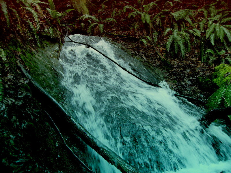 Small Waterfall in Forest — Green, Natural, Photograph