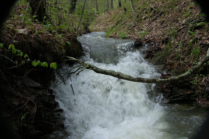 Small Waterfall in Forest — Green, Natural, Spring, Photograph, Stream