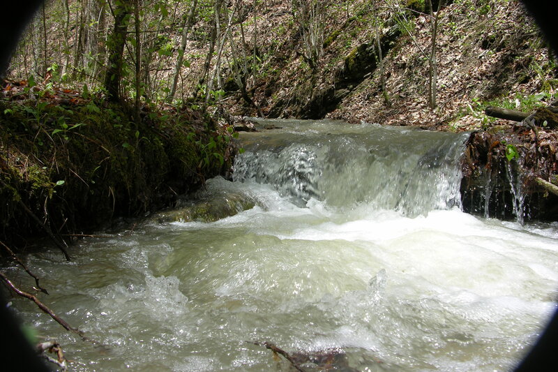 Small Waterfall in Forest — Green, Natural, Spring, Photograph, Trees
