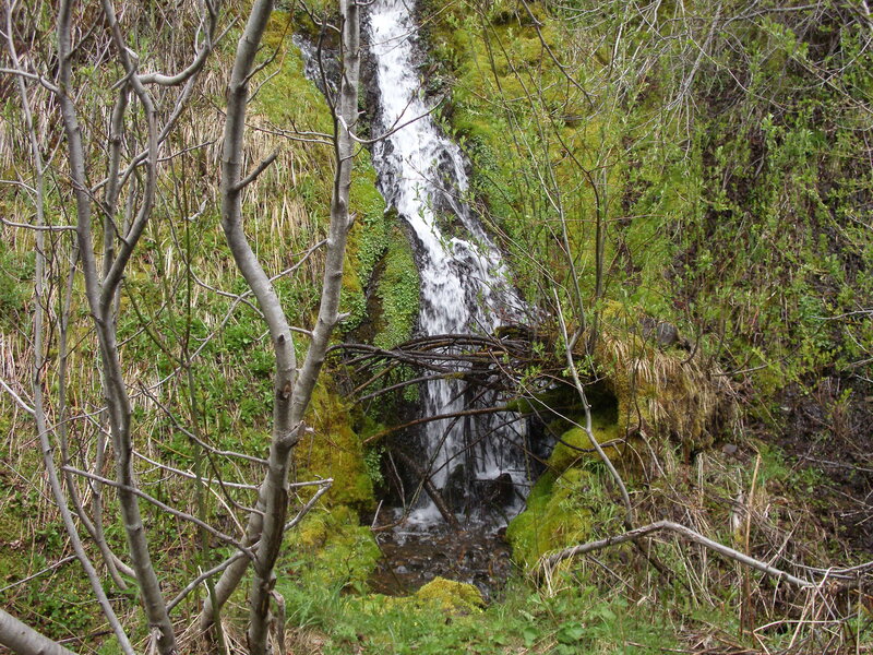Small Waterfall in Forest — Green, Natural, Spring