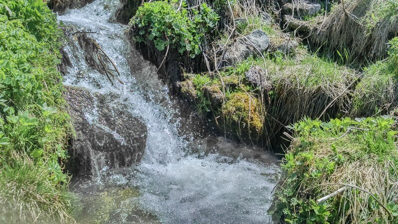 Small Waterfall in Forest — Green, Natural, Summer