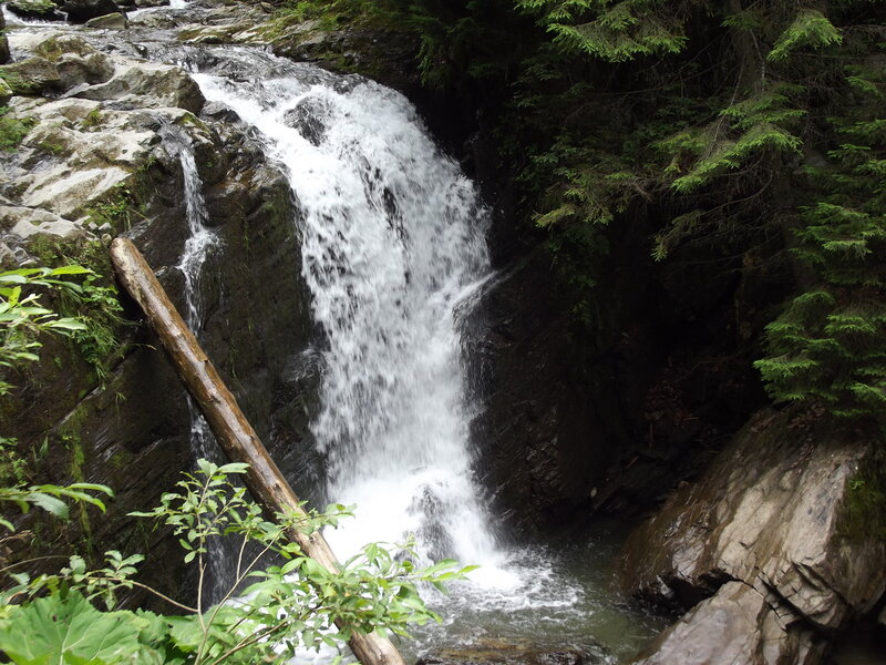 Small Waterfall in Forest — Green, Natural