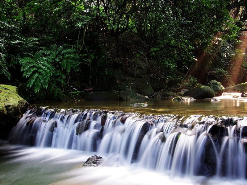 Small Waterfall in Forest — Green, Photograph