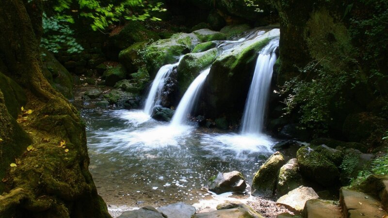 Small Waterfall in Forest — Green, Rocks