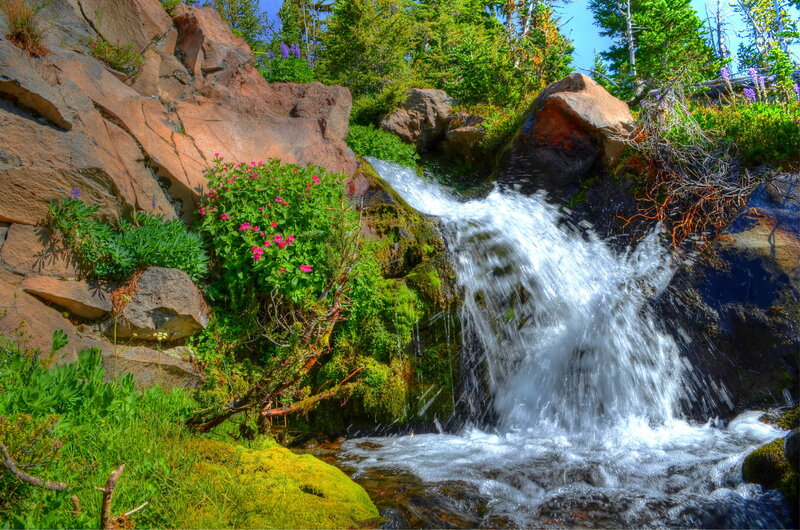 Small Waterfall in Forest — Green, Serene, Afternoon, Photograph, Flowers, Rocks