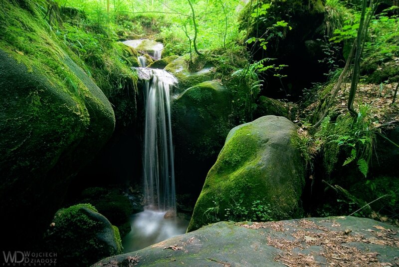Small Waterfall in Forest — Green, Serene, Afternoon, Photograph, Moss-covered Rocks