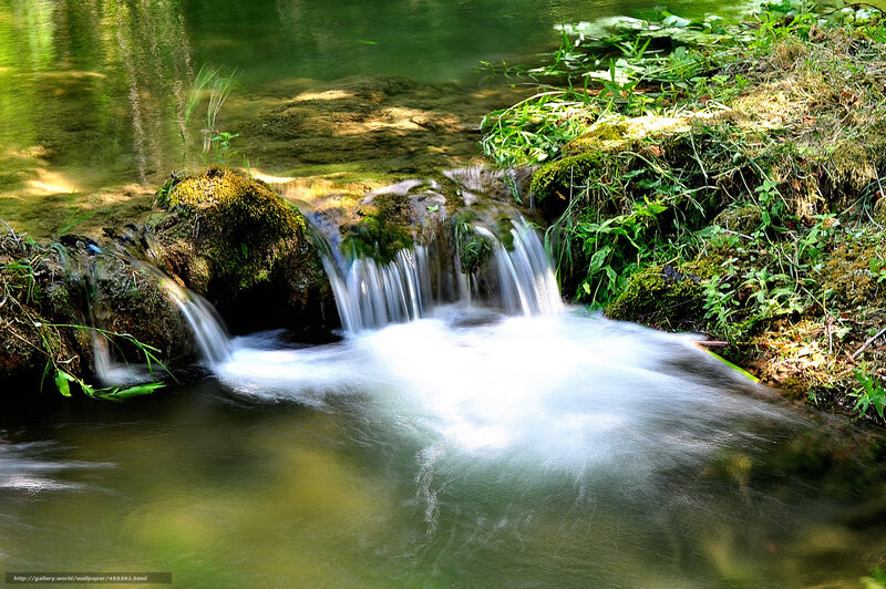 Small Waterfall in Forest — Green, Serene, Afternoon, Photograph, Moss, Rocks, Plants