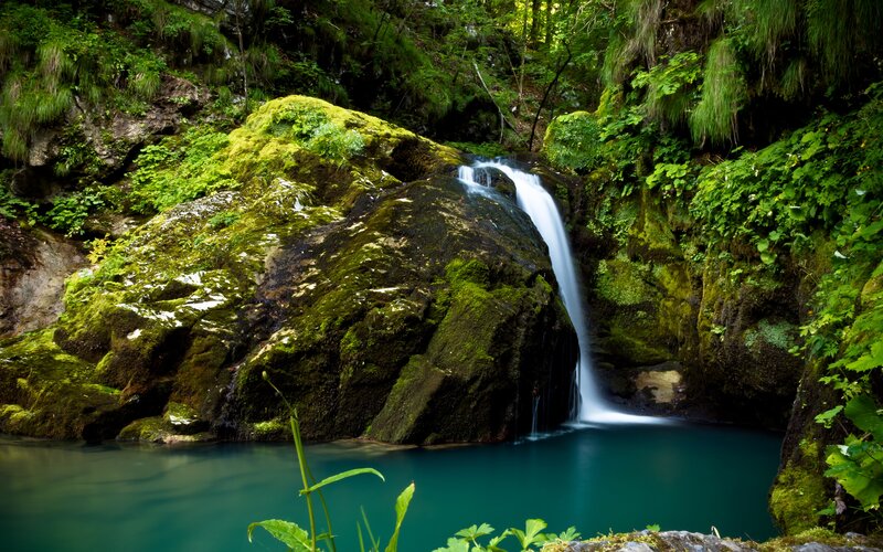 Small Waterfall in Forest — Green, Serene, Afternoon, Photograph, Moss, Rocks, Pool, Blue, Brown