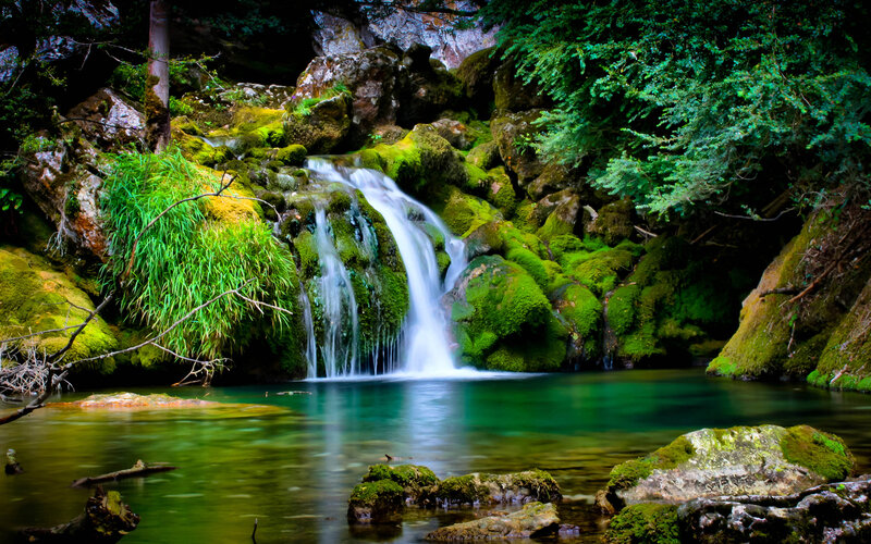 Small Waterfall in Forest — Green, Serene, Afternoon, Photograph, Moss, Rocks, Trees