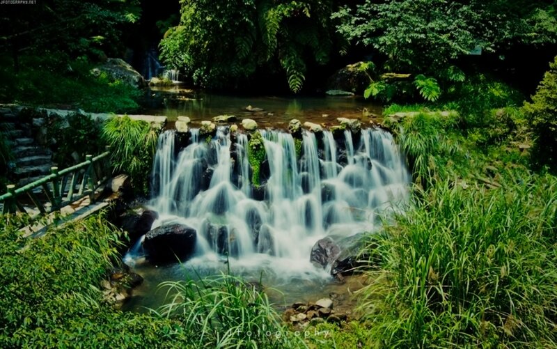 Small Waterfall in Forest — Green, Serene, Afternoon, Photograph, River, Rocks, Plants