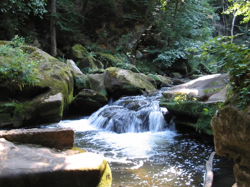 Small Waterfall in Forest — Green, Serene, Afternoon, Photograph, River, Rocks, Trees, Brown, White