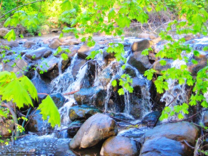 Small Waterfall in Forest — Green, Serene, Afternoon, Photograph, Rocks, Leaves