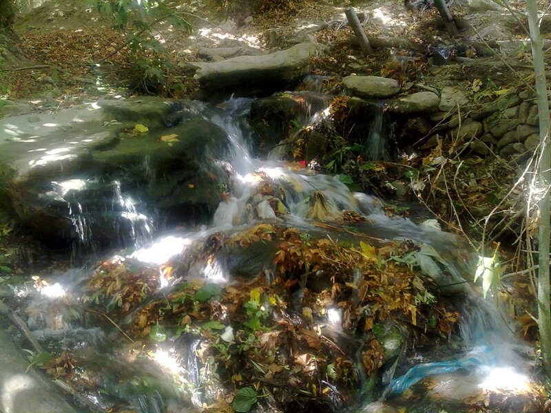 Small Waterfall in Forest — Green, Serene, Afternoon, Photograph, Rocks, Leaves, Trees