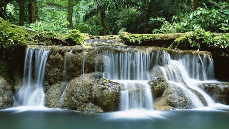 Small Waterfall in Forest — Green, Serene, Afternoon, Photograph, Rocks, Moss, Brown
