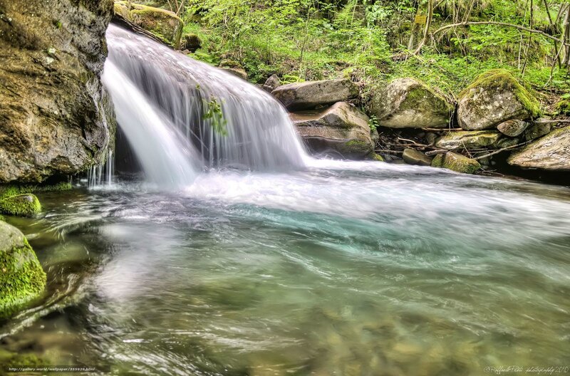 Small Waterfall in Forest — Green, Serene, Afternoon, Photograph, Rocks, Moss, Stream, Trees