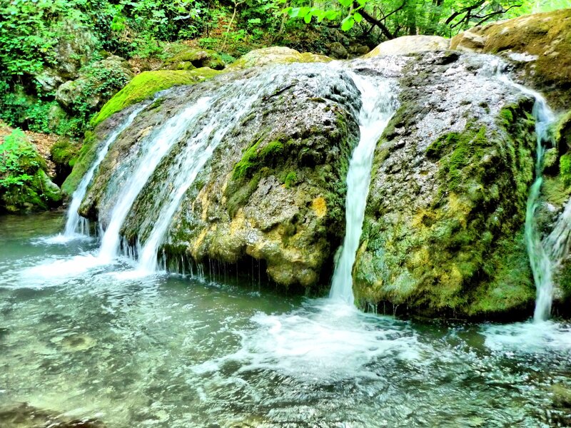 Small Waterfall in Forest — Green, Serene, Afternoon, Photograph, Rocks, Moss, Trees, Brown