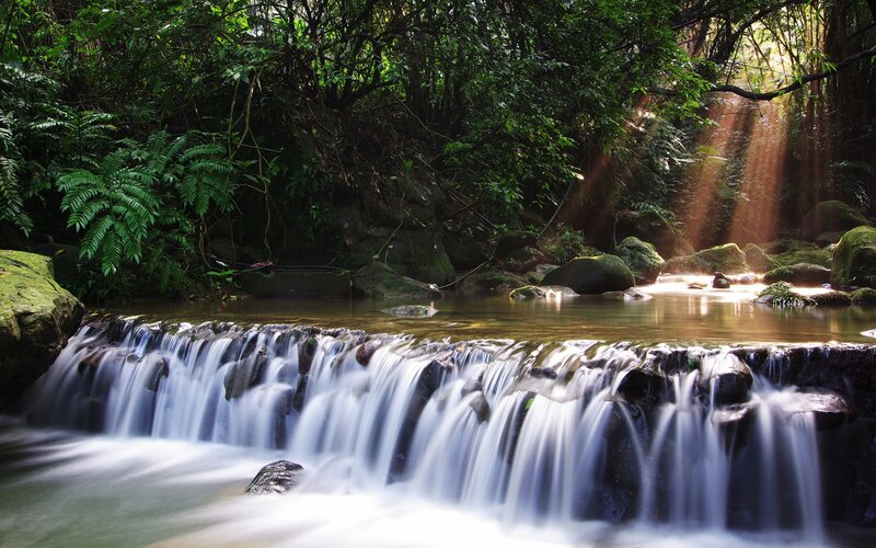 Small Waterfall in Forest — Green, Serene, Afternoon, Photograph, Rocks, Sunlight, Brown