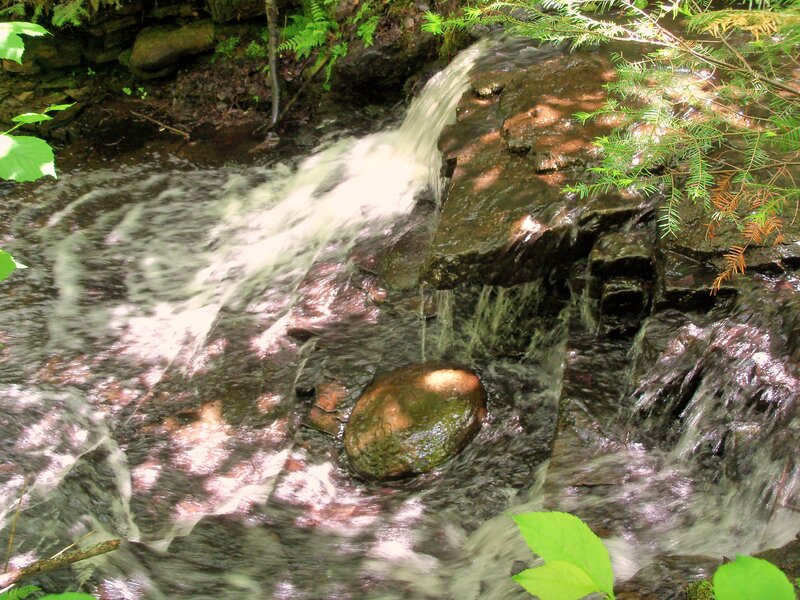 Small Waterfall in Forest — Green, Serene, Afternoon, Photograph, Rocks, Trees, Stream, Leaves