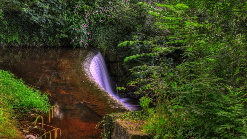 Small Waterfall in Forest — Green, Serene, Afternoon, Photograph, Stream, Plants, Flowers