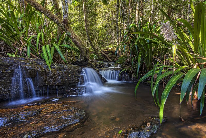 Small Waterfall in Forest — Green, Serene, Afternoon, Photograph, Stream, Rocks, Plants