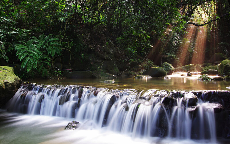 Small Waterfall in Forest — Green, Serene, Afternoon, Photograph, Stream, Rocks, Sunlight