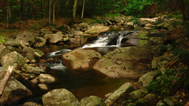 Small Waterfall in Forest — Green, Serene, Afternoon, Photograph, Stream, Rocks, Trees, Brown, Gray