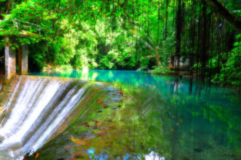 Small Waterfall in Forest — Green, Serene, Afternoon, Photograph