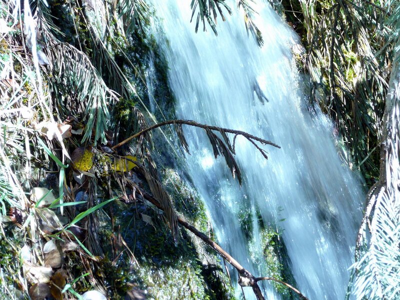 Small Waterfall in Forest — Green, Serene, Afternoon, Photograph, Trees, Moss, Branch