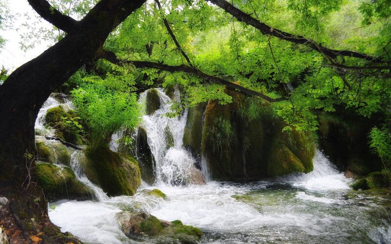 Small Waterfall in Forest — Green, Serene, Afternoon, Photograph, Trees, Moss, Rocks, River