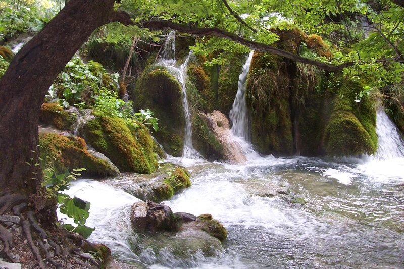 Small Waterfall in Forest — Green, Serene, Afternoon, Photograph, Trees, Moss, Rocks