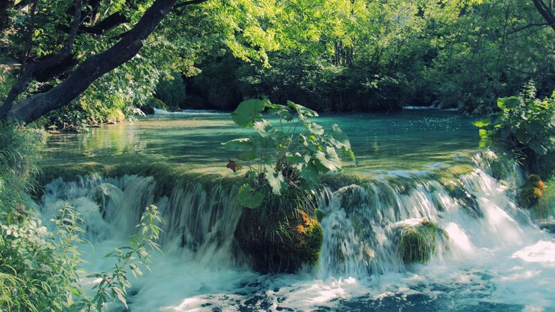 Small Waterfall in Forest — Green, Serene, Afternoon, Photograph, Trees, Plants, River