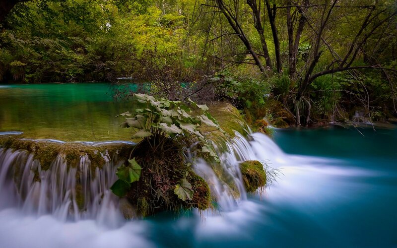 Small Waterfall in Forest — Green, Serene, Afternoon, Photograph, Trees, Plants, Rocks