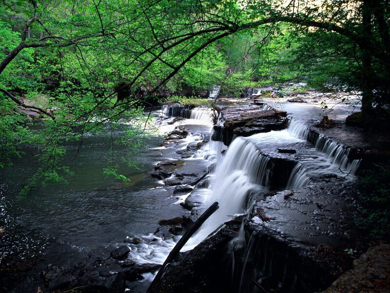 Small Waterfall in Forest — Green, Serene, Afternoon, Photograph, Trees, River, Rocks, Black, White